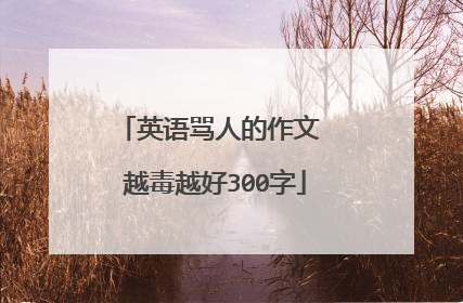 英语骂人的作文 越毒越好300字