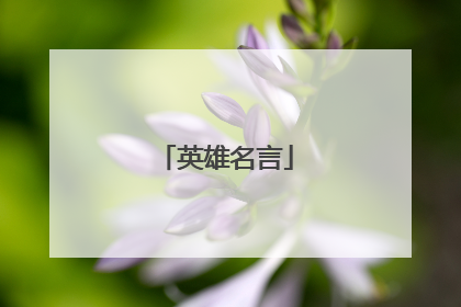 英雄名言