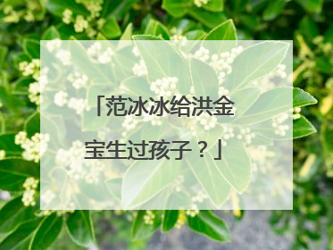 范冰冰给洪金宝生过孩子?