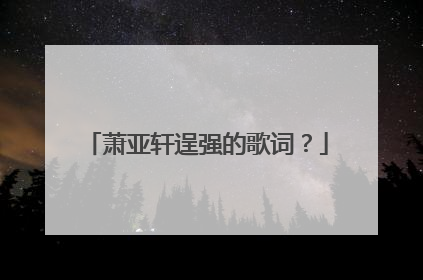 萧亚轩逞强的歌词?