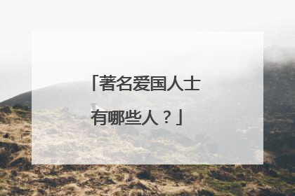 著名爱国人士有哪些人?