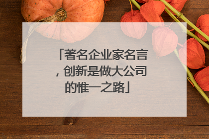 著名企业家名言，创新是做大公司的惟一之路
