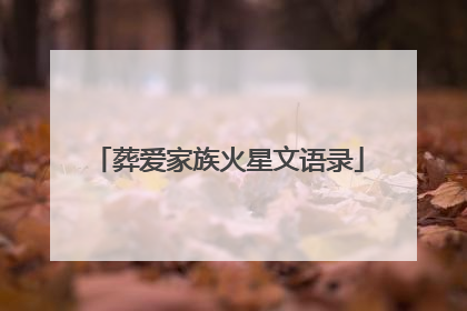葬爱家族火星文语录
