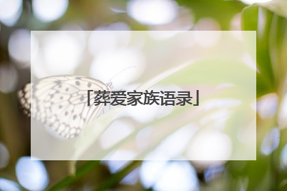 葬爱家族语录