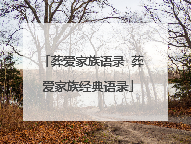 葬爱家族语录 葬爱家族经典语录