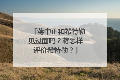 蒋中正和希特勒见过面吗?蒋怎样评价希特勒?