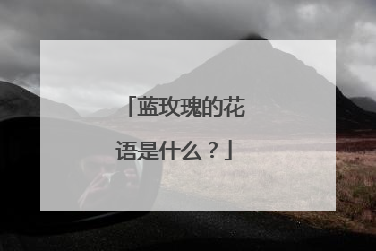 蓝玫瑰的花语是什么?