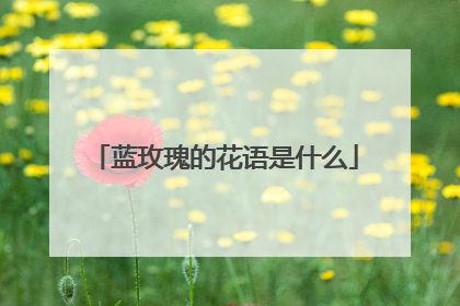 蓝玫瑰的花语是什么