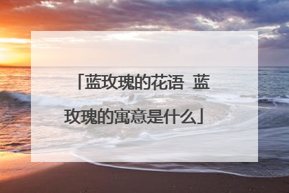 蓝玫瑰的花语 蓝玫瑰的寓意是什么