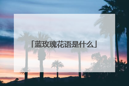 蓝玫瑰花语是什么