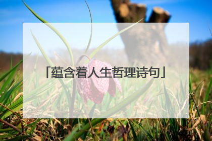 蕴含着人生哲理诗句