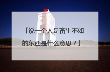 说一个人是畜生不如的东西是什么意思?