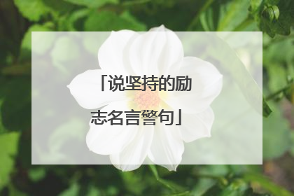 说坚持的励志名言警句