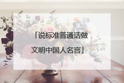 说标准普通话做文明中国人名言