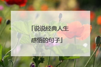 说说经典人生感悟的句子
