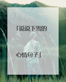 说说下雪的心情句子