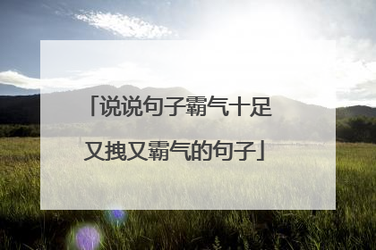 说说句子霸气十足 又拽又霸气的句子