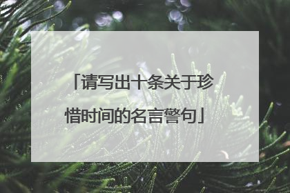 请写出十条关于珍惜时间的名言警句