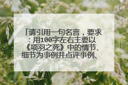 请引用一句名言,要求:用100字左右主要以《项羽之死》中的情节、细节为事例并点评事例、联系现实、评价