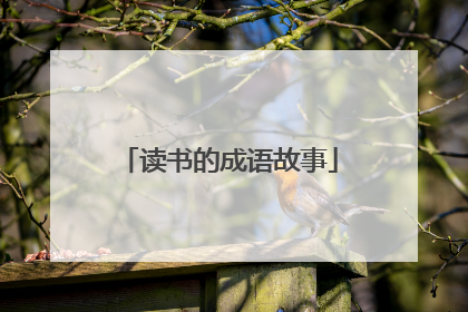 读书的成语故事
