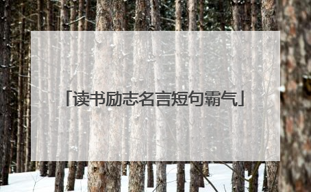 读书励志名言短句霸气