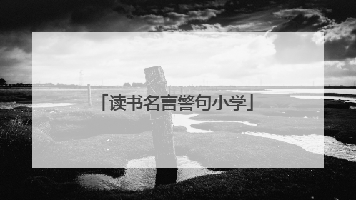 读书名言警句小学