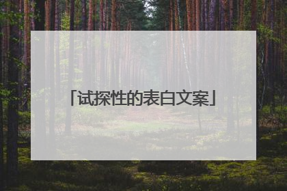 试探性的表白文案
