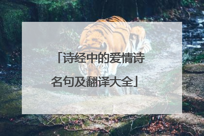 诗经中的爱情诗名句及翻译大全