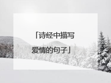 诗经中描写爱情的句子