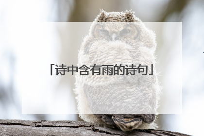 诗中含有雨的诗句