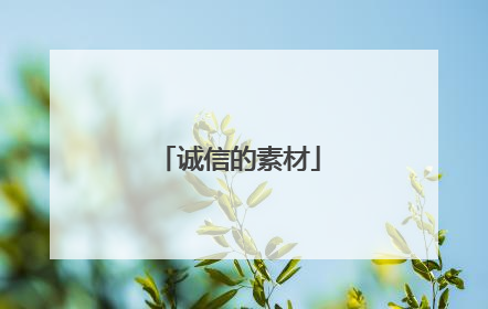 诚信的素材