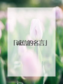 诚信的名言