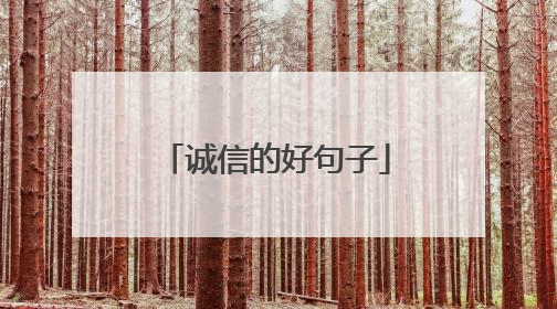 诚信的好句子