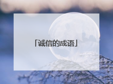 诚信的成语