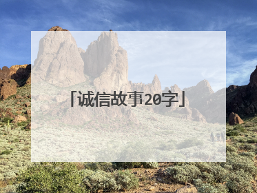 诚信故事20字