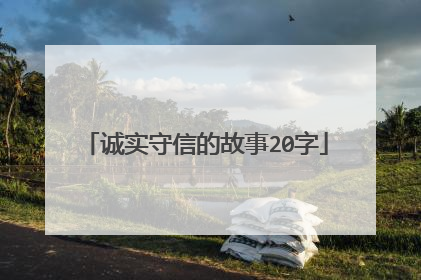 诚实守信的故事20字