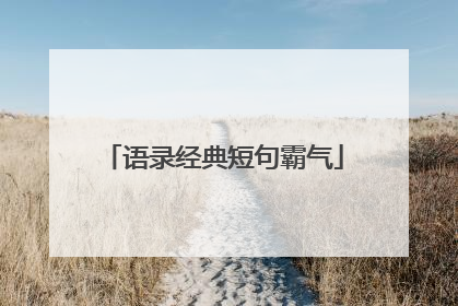 语录经典短句霸气