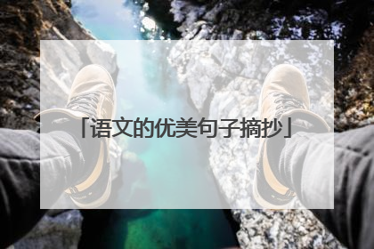 语文的优美句子摘抄