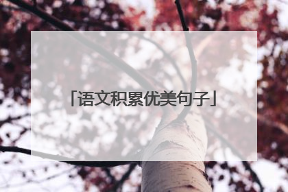 语文积累优美句子