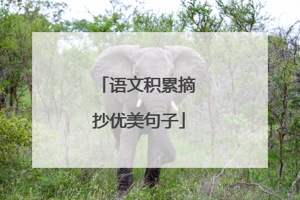 语文积累摘抄优美句子