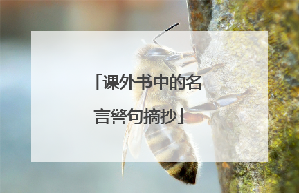 课外书中的名言警句摘抄