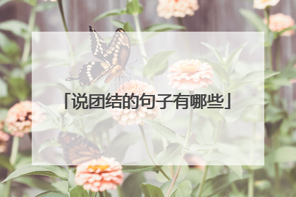 说团结的句子有哪些