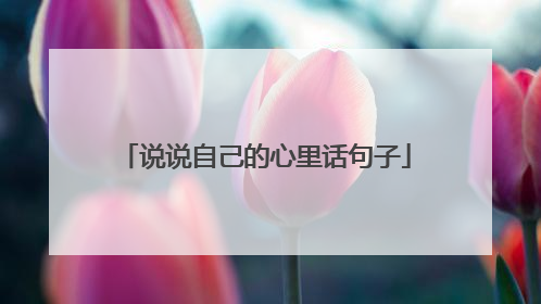 说说自己的心里话句子