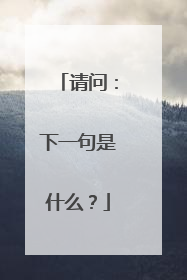请问：下一句是什么？