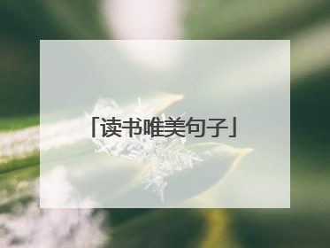 读书唯美句子
