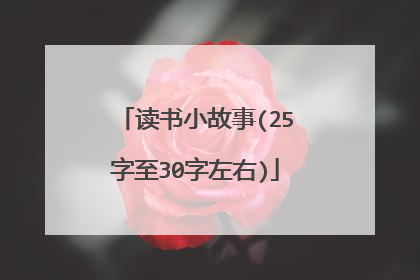 读书小故事(25字至30字左右)