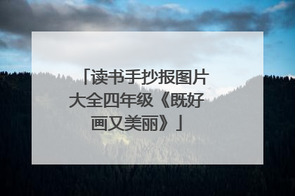 读书手抄报图片大全四年级《既好画又美丽》