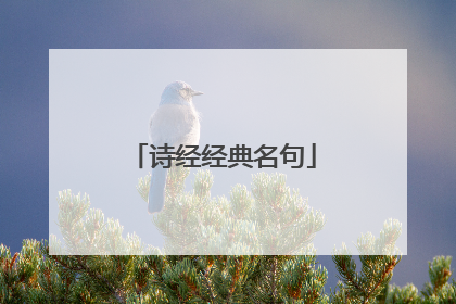 诗经经典名句