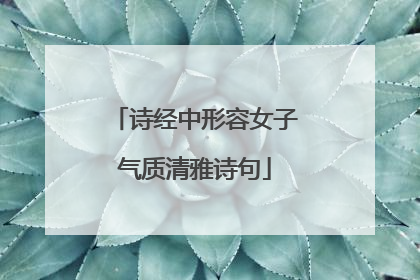 诗经中形容女子气质清雅诗句