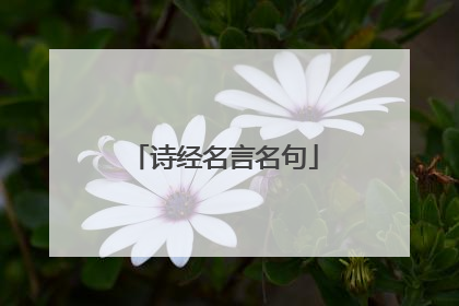 诗经名言名句